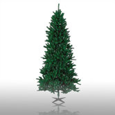 Regency International Christmas Trees