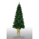 7.5' Prelit Potted Charleston Artificial Christmas Tree