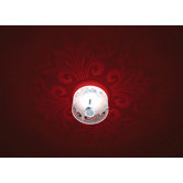 Shining Brussels Wall/Ceiling Light