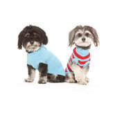West Paw Design Dog Fashion Apparel