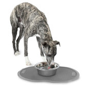 Replendish Single Pet Food Mat in Brushed Nickel