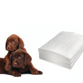 Doggie Pad&trade; in White