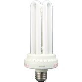42 Watt E26 Base Fluorescent Bulb in White
