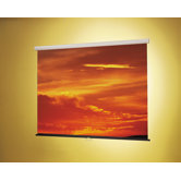 Matte White: Nova Wall Mounted Screen