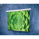 Perla Electric Screen