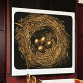 Supra Electric Screen