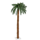 7' Palm Tree with Clear Lights
