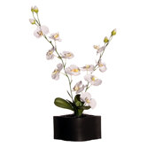 Floral 29" Artificial Potted Cymbidium Orchids in White and Yellow
