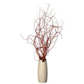 Floral Curly Willow in Vase