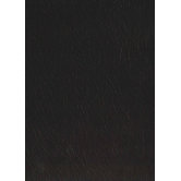 Rainforest 7-5/8" x 45-7/8" Recycled Leather Plank in Caribou Bourbon