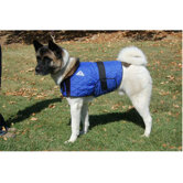 Hyperkewl Cooling Dog Coat