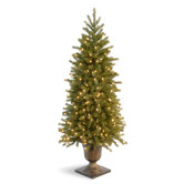 National Tree Co. Christmas Trees