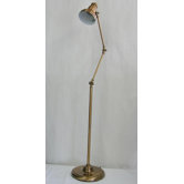 Multi-Adjustable Floor Lamp