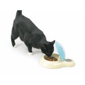 Dinner Time Single Pet Feeder Bowl