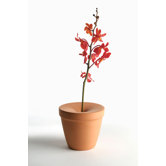 Bud Vase