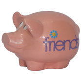Girly Chic Double Sided Inseparable Friends Piggy Bank