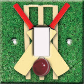 Cricket Switch Cover