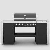 GTI-4 Island Grill with Side and Back Burner