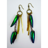 Rachel Paula Beetle Wing Earrings