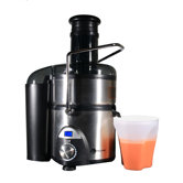 9-Speed Stainless Steel Juicer