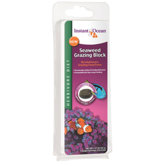 Herbivore Seaweed Grazing Block Fish Food
