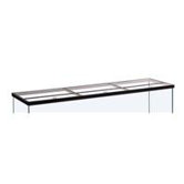 Glass Canopy