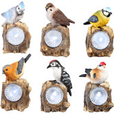1 Light Outdoor Display Solar Light