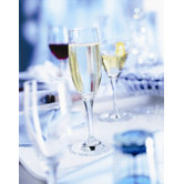 Tritan Mondial Drinkware Collection