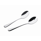 Rhodos 2 Piece Salad Set in Mirror
