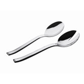 Arctic 2 Piece Salad Set in Mirror