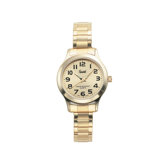 Ladies Dial Watch with Champ Cust