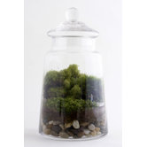 Masterpiece Assembled Terrarium