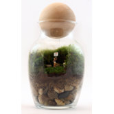 Gentle Reminder Assembled Terrarium