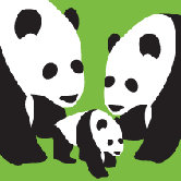 Animal - Three Pandas Stretched Wall Art
