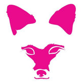 Animal Face - Fox Stretched Wall Art