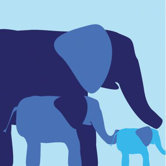 Animal - Elephants Stretched Wall Art