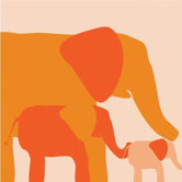 Animal - Elephants Stretched Wall Art