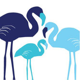 Animal - Flamingo Stretched Wall Art