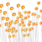 Imagination - Wildflowers Stretched Wall Art