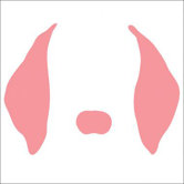 Animal Face - Floppy Ears Stretched Wall Art