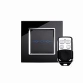 RTS2020 Touch and Remote Light Switch