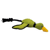 Flying Duck Dog Toy in Green