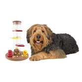 Gambling Tower Dog Activity Game
