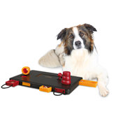 Move-Two-Win Dog Activity Game