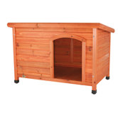 Dog Club House