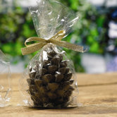 Pinecone Wax Candle (Set of 2)