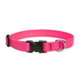 Solid Colour 1/2" Adjustable Dog Collar