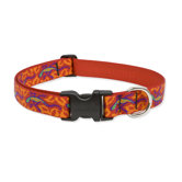 Go Go Gecko 1" Adjustable Dog Collar