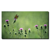 Monarch Thistles by Kurt Shaffer, Canvas Art - 18" x 24"