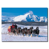 Clydesdales in Snow Covered Mountains 14" Canvas Art